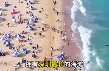 深圳最值得去的10個景點 图标